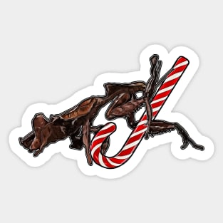 Phyllocrania paradoxa female X-Mas Sticker